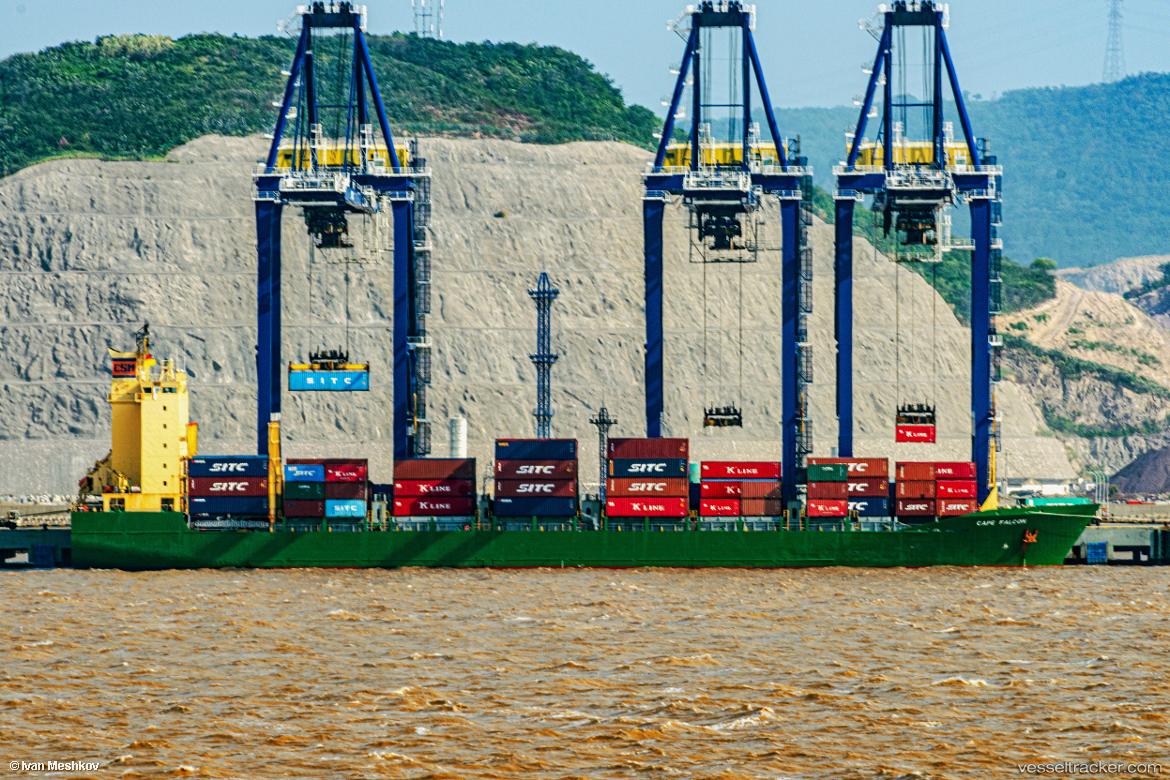 Msc-Tiger-F - Container Ship vessel