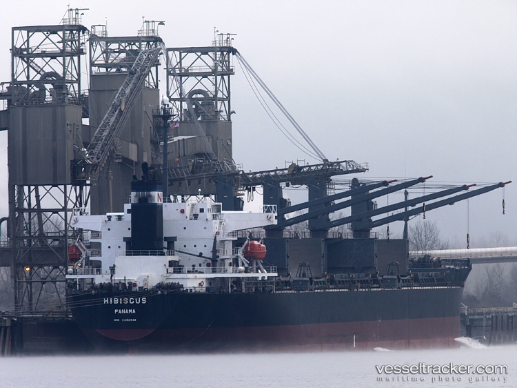 Sea-Ilex - Bulk Carrier vessel