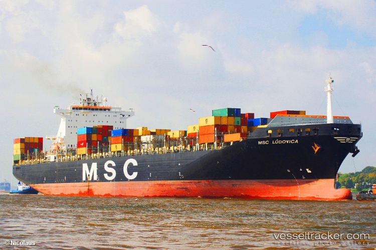 Msc-Ludovica