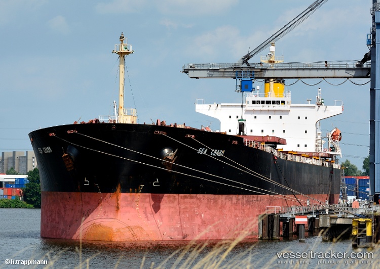 Yu-Xiao-8 - Bulk Carrier vessel