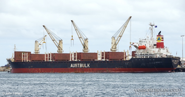 Tan-Binh-135 - Bulk Carrier vessel
