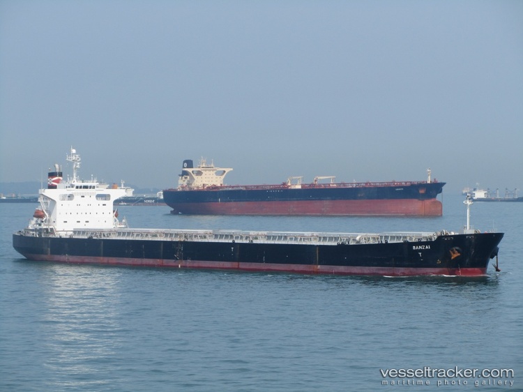 Xin-Meng-Xiang - Bulk Carrier vessel