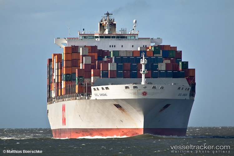 Msc-Qingdao - Container Ship vessel