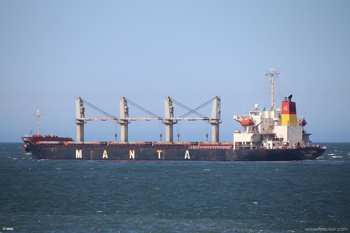 Halit-Yildirim - Bulk Carrier vessel