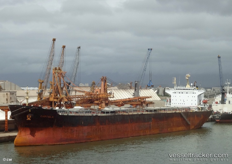 Zhong-Meng-Hang-Lian - Bulk Carrier vessel