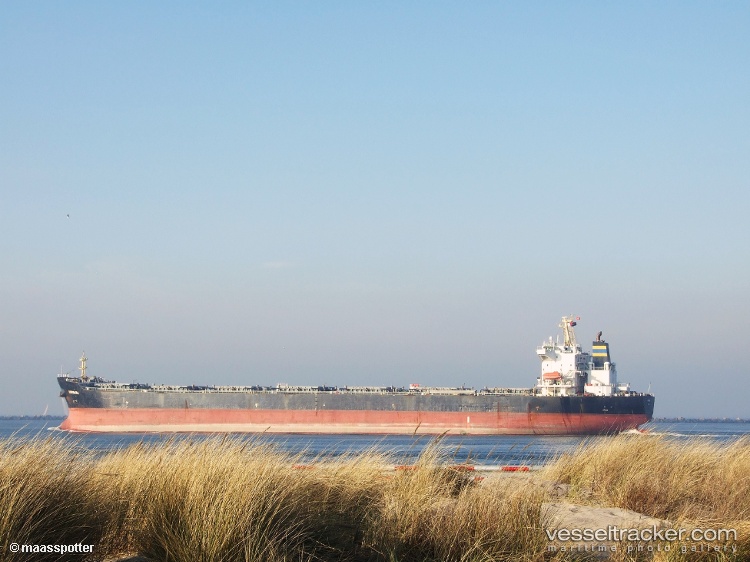 Wan-Ming-Fu-Qiang - Bulk Carrier vessel