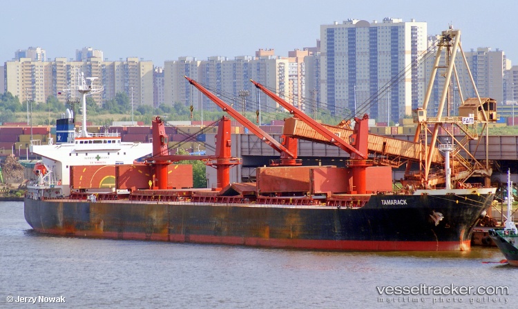 Chorus-V - Bulk Carrier vessel