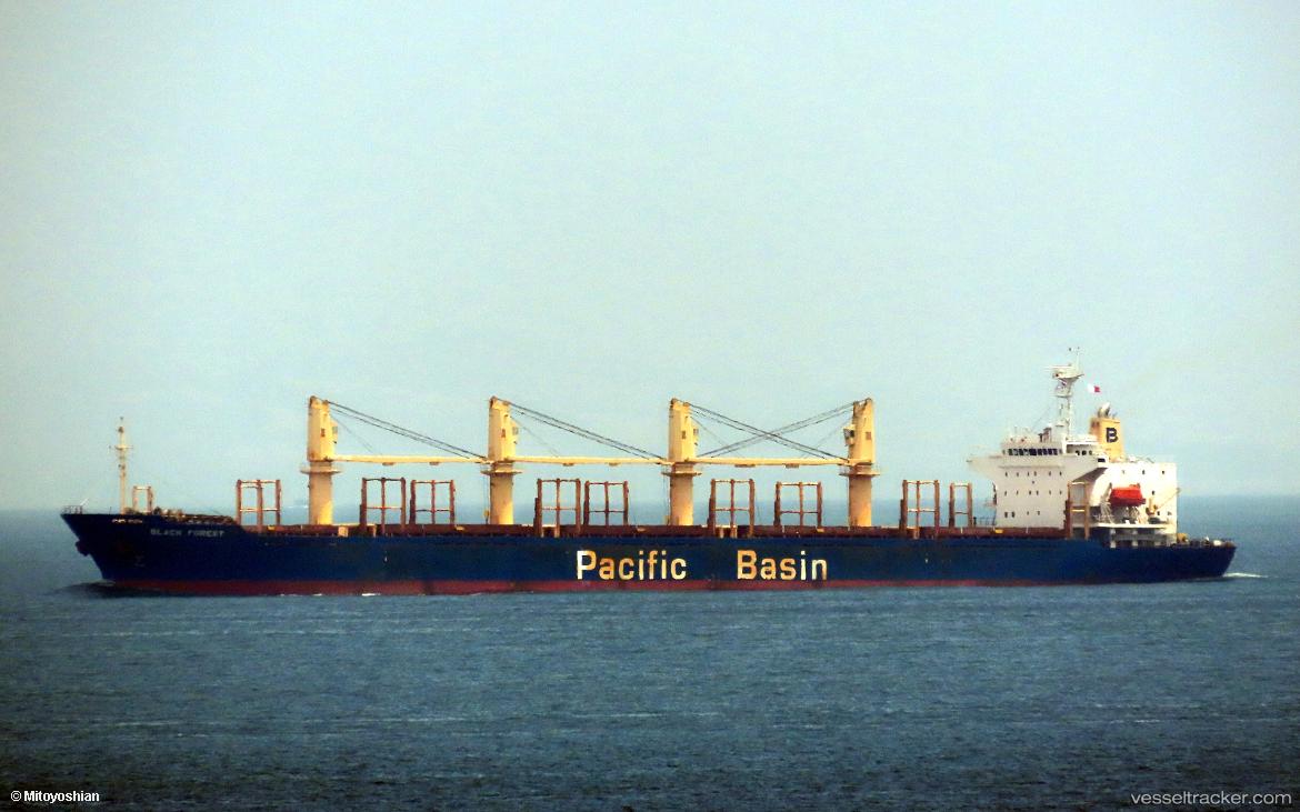 Sunny-Fortune - Bulk Carrier vessel