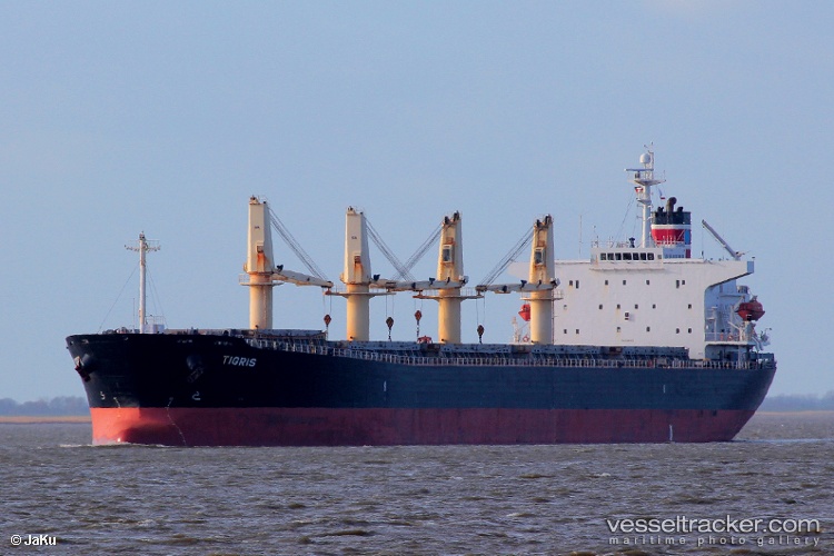 Poplar - Bulk Carrier vessel