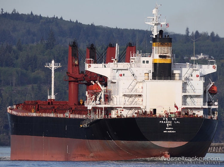 Blue-Voyage - Bulk Carrier vessel
