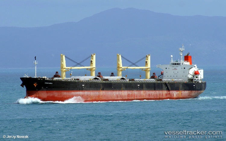 Ocean-Hiryu - Bulk Carrier