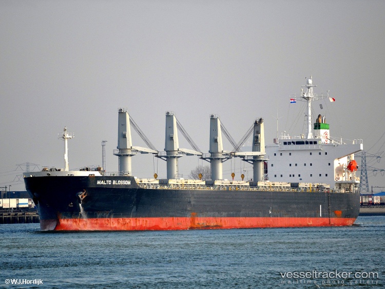 Asian-Pearl - Bulk Carrier vessel