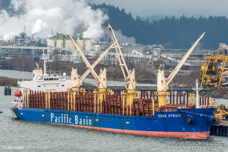 Nj-Aio - Bulk Carrier vessel