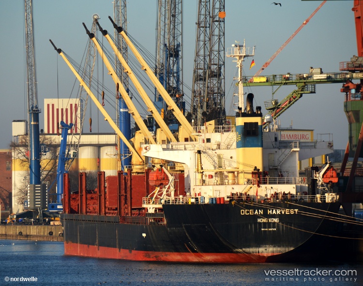 Tj-Harvest - Bulk Carrier vessel