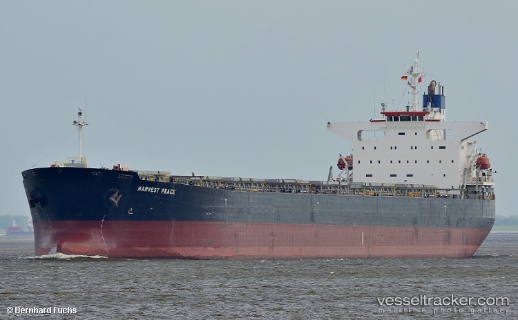 Fortune-Sun - Bulk Carrier vessel