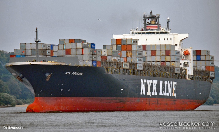 Msc-Pegasus-Vii - Container Ship vessel