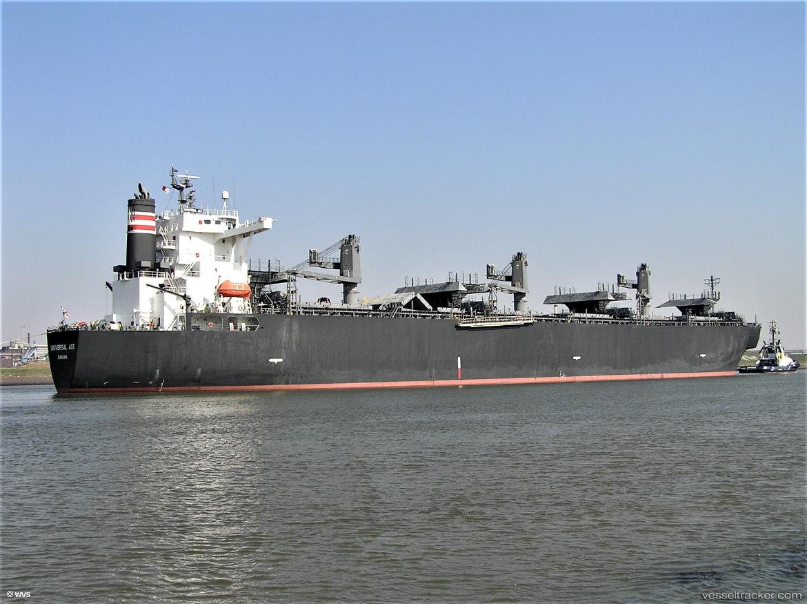 Forestal-Reina - Wood Chips Carrier vessel