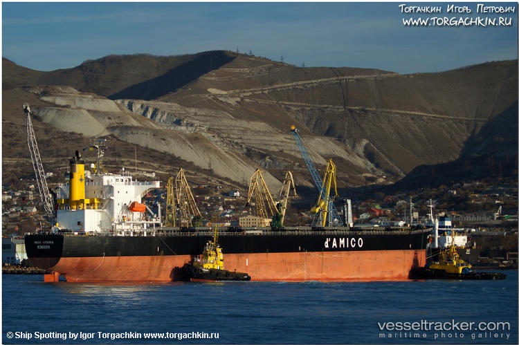 Taurus - Bulk Carrier vessel