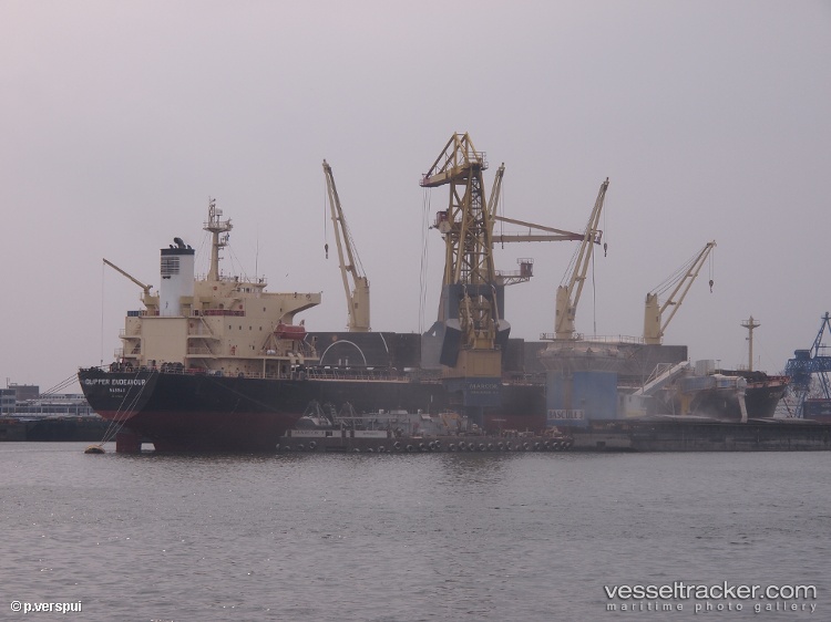 Baoda-17 - Bulk Carrier vessel