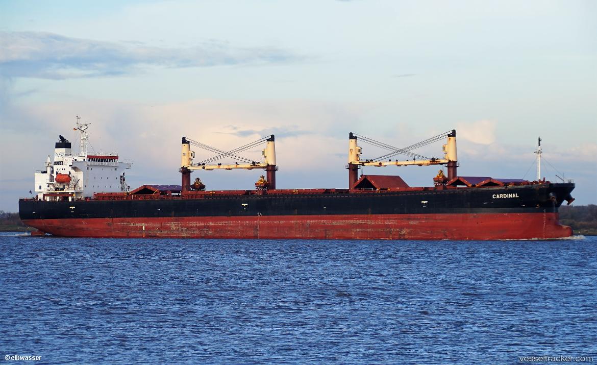 Cl-Sapphire - Bulk Carrier vessel