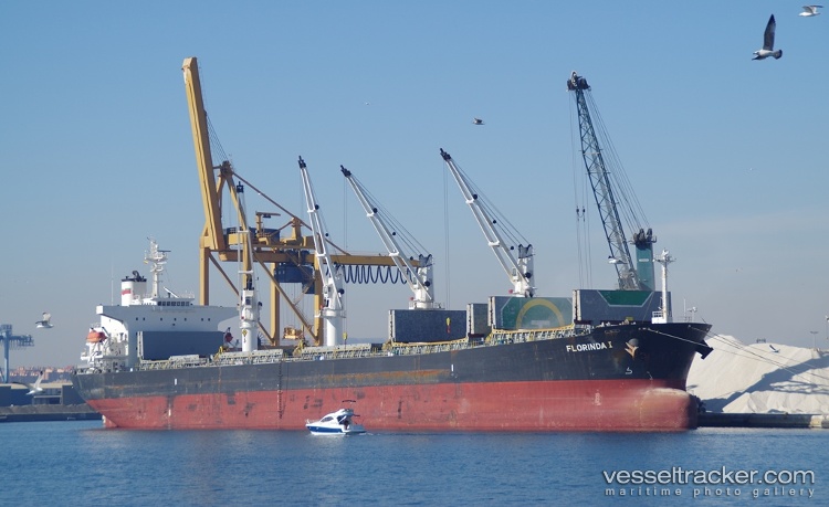 Pacific-Frieda - Bulk Carrier vessel