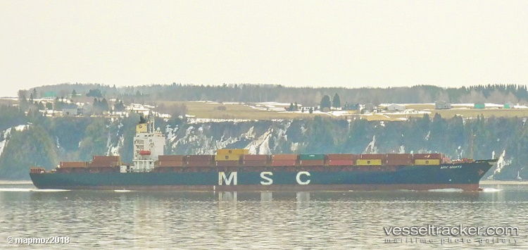Msc-Manya