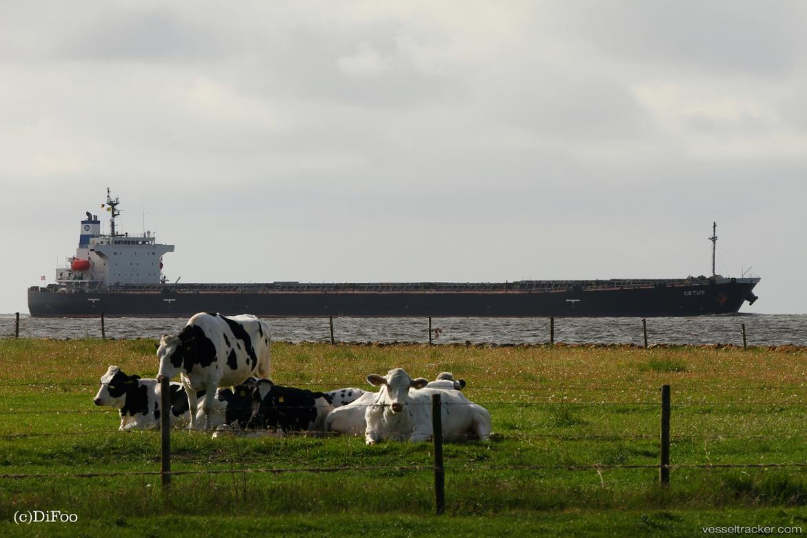 Cetus - Bulk Carrier vessel