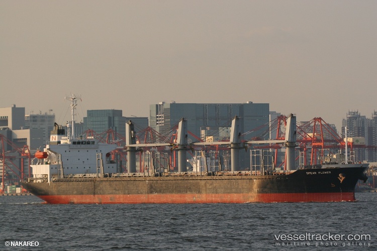 Prince-Zain - Bulk Carrier vessel