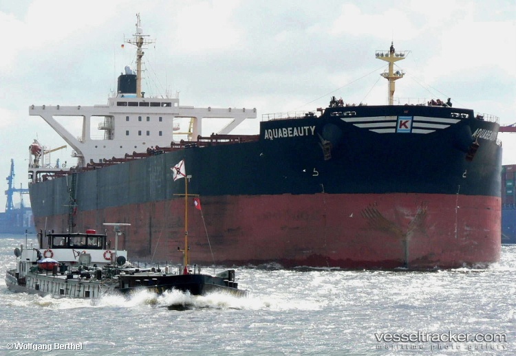 Andros-Beauty - Bulk Carrier vessel