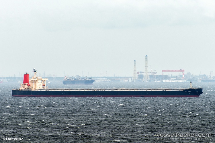 Winning-Youth - Bulk Carrier vessel