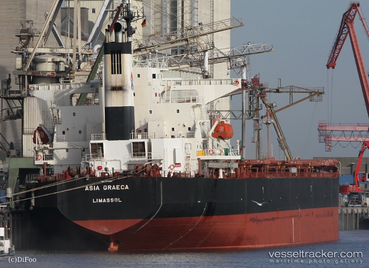 Dolphin-77 - Bulk Carrier vessel