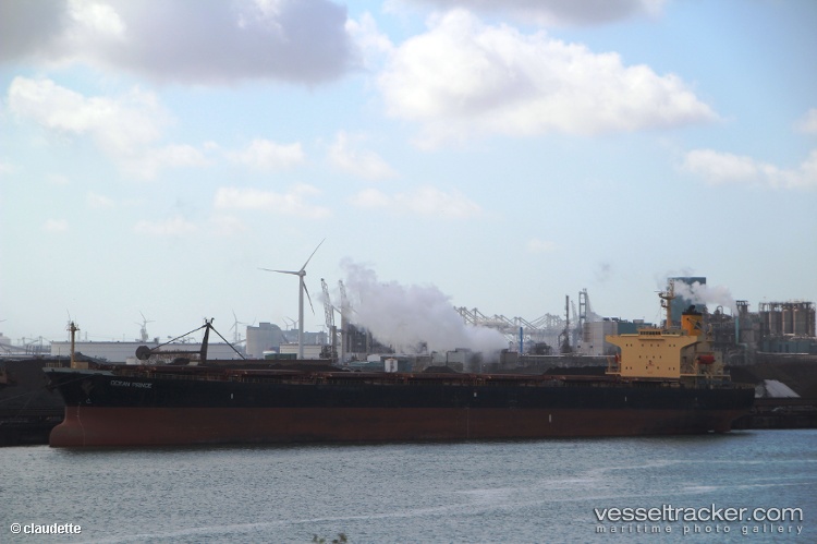 Chang-Yang-Jin-Long - Bulk Carrier vessel