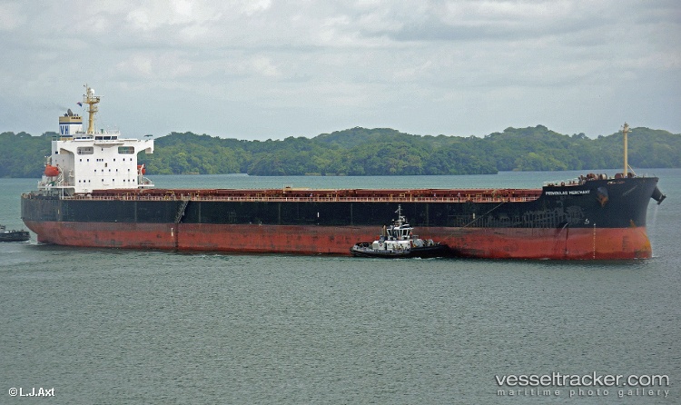 Pedhoulas-Merchant - Bulk Carrier vessel