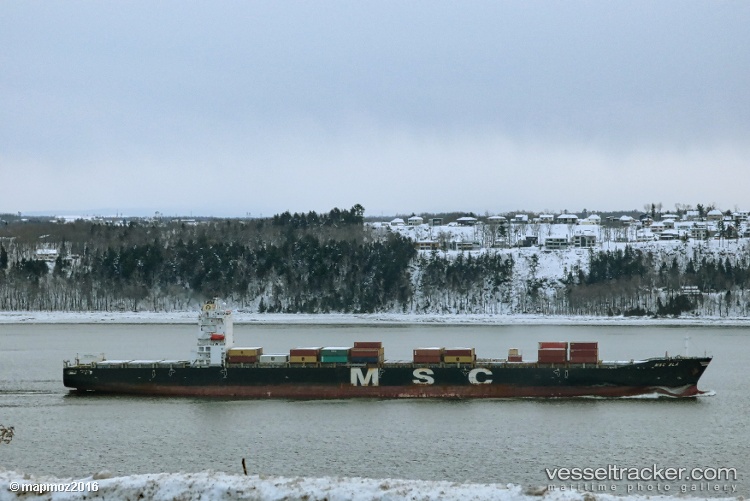 Msc-Ela - Container Ship vessel