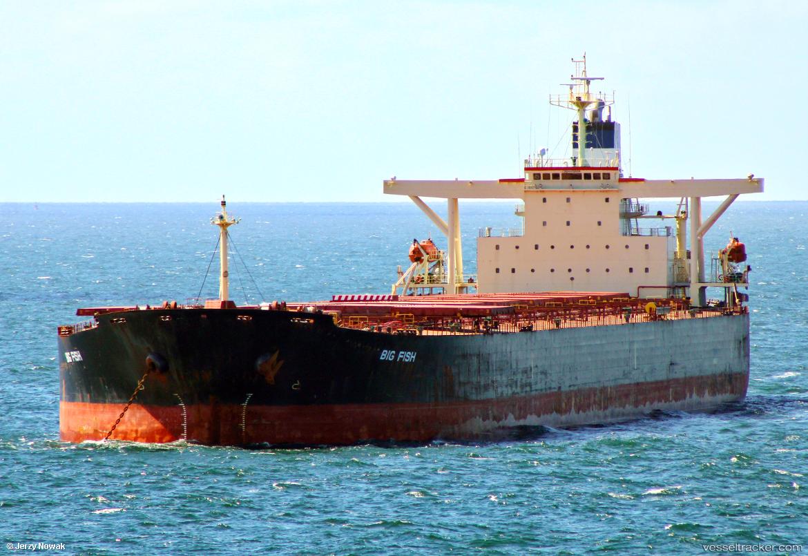 Sea-Taurus - Bulk Carrier vessel