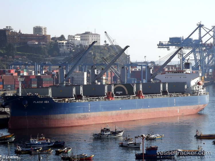 Placid-Sea - Bulk Carrier vessel