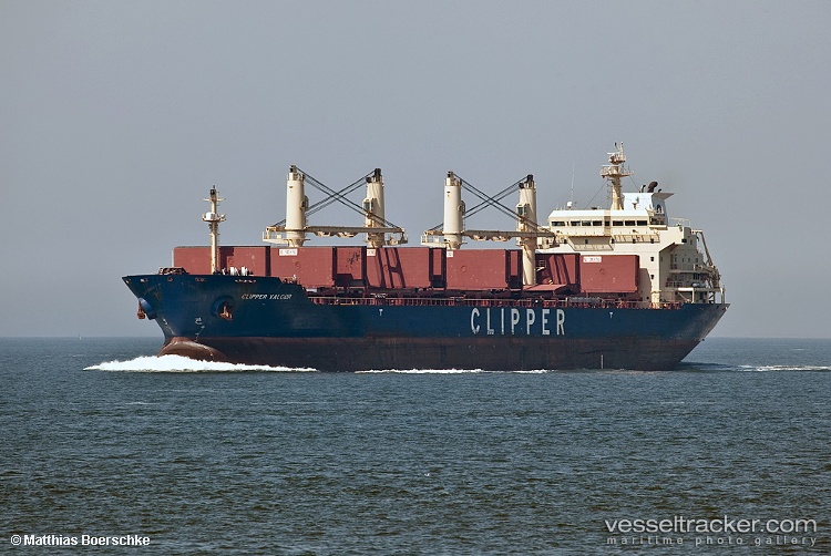 Tulpar - Bulk Carrier vessel