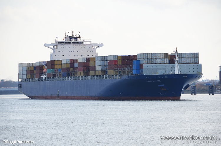 Msc-Everest-Viii - Container Ship vessel