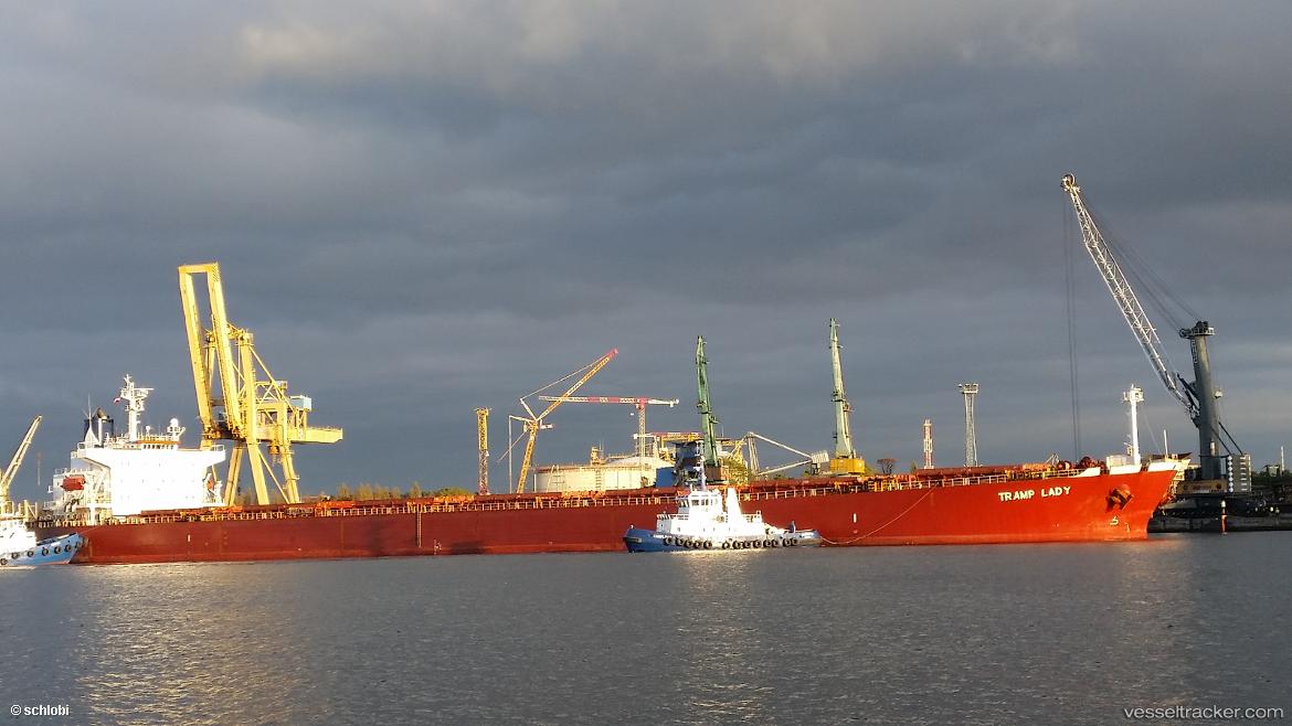 Tramp-Lady - Bulk Carrier vessel