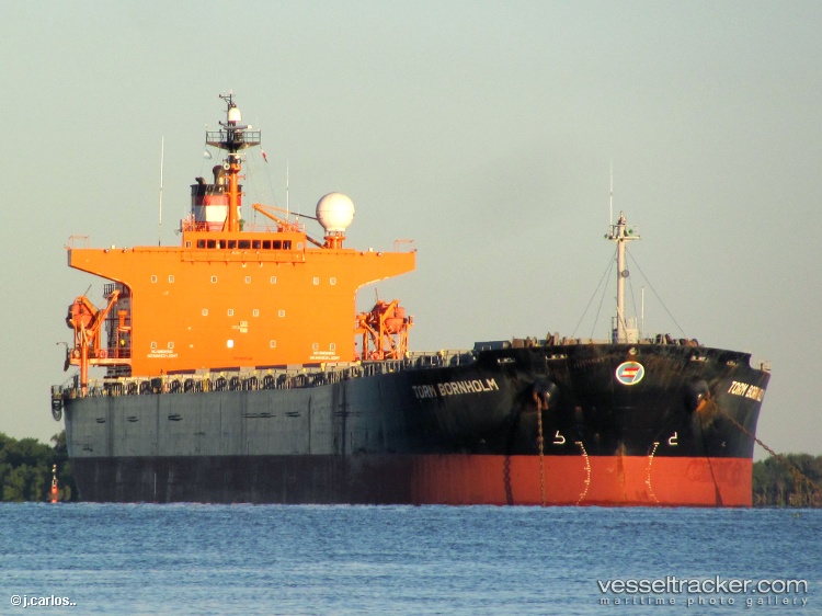 Fame - Bulk Carrier vessel