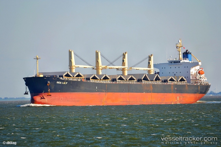 Sea-Amelia - Bulk Carrier vessel