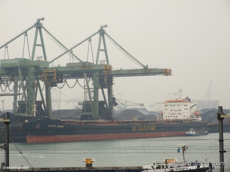 The-Strong - Bulk Carrier vessel