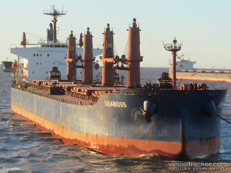 Rugulus-I - Bulk Carrier vessel