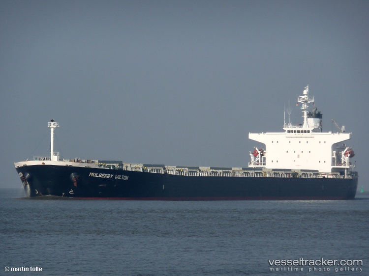 Magic-P - Bulk Carrier vessel