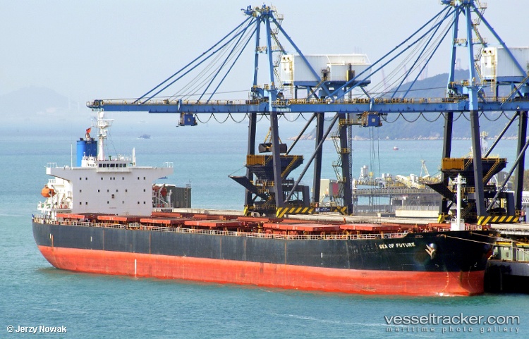 Proteas - Bulk Carrier vessel