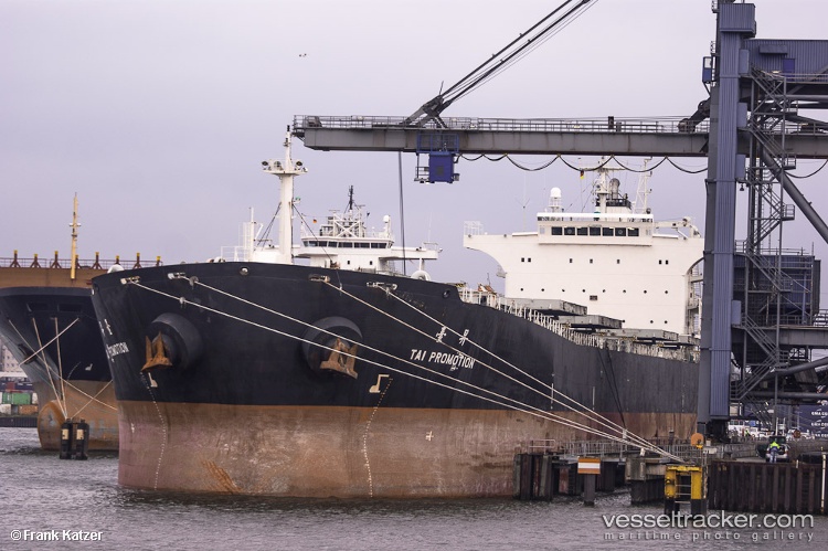 Ripley-Pioneer - Bulk Carrier vessel