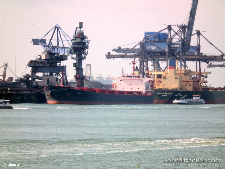 Ripley-Pinnacle - Bulk Carrier vessel