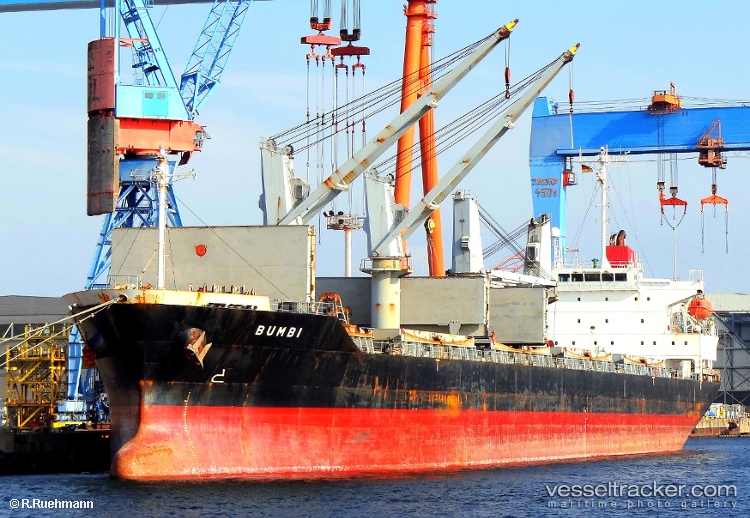 Newsun-Harmony - Bulk Carrier vessel