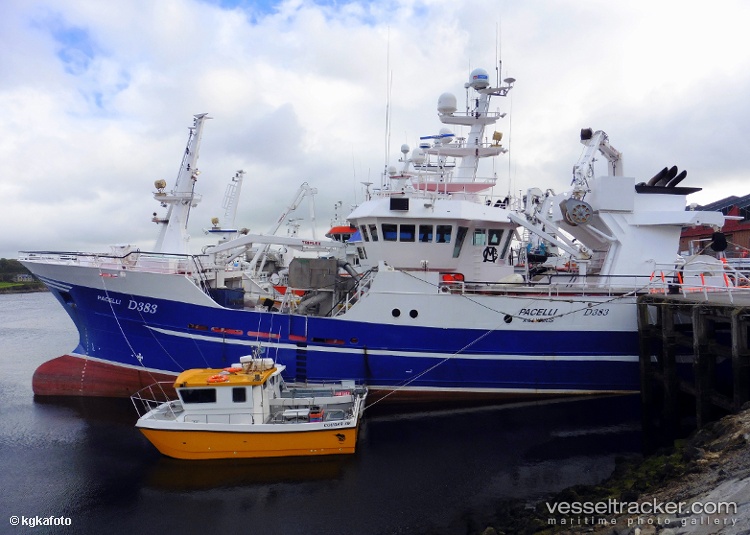 Pacelli - Fish Carrier vessel