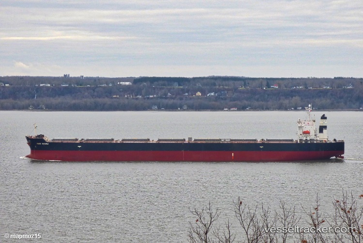 Abdali - Bulk Carrier vessel
